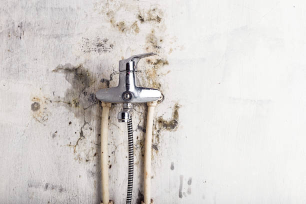 Best Bathroom Mold Remediation in Monrovia, MD