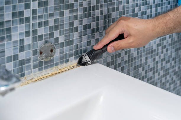 Reliable Monrovia, MD Mold Remediation Solutions